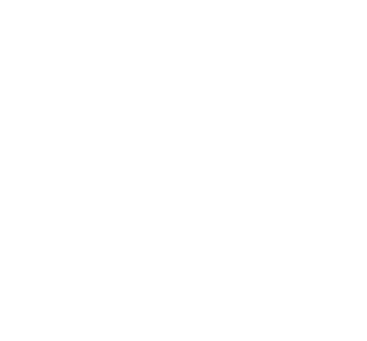 custom-solution-icon.png